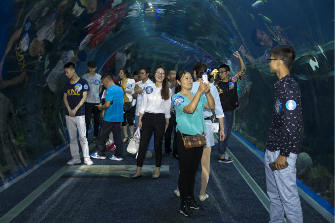 夏令營第二季，新華學(xué)子一起遨游海洋王國