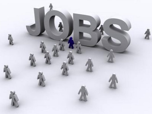 [提案議案]聚焦大學(xué)生就業(yè)