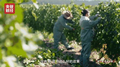 喜迎十九大，國力強(qiáng)盛人民歡慶