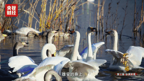 喜迎十九大，國力強(qiáng)盛人民歡慶