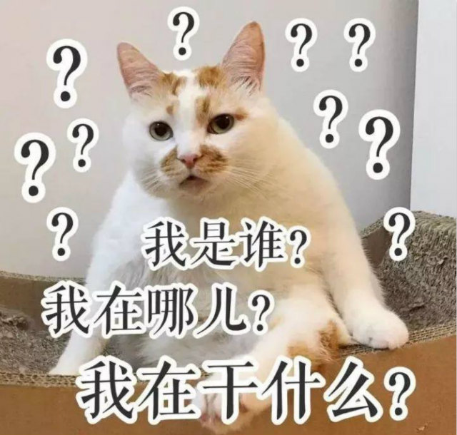 雙十一最新熱詞出爐，快來看看你有沒有中槍？