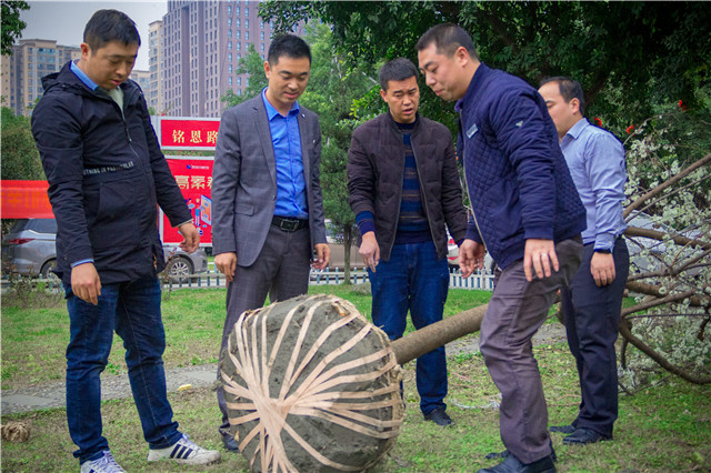 植樹節(jié)，在夢(mèng)想的地方栽下希望的綠色！