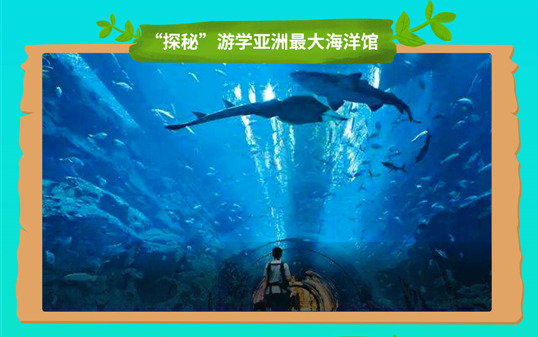 五一去哪兒？新華IT夏令營(yíng)嗨爆小長(zhǎng)假！