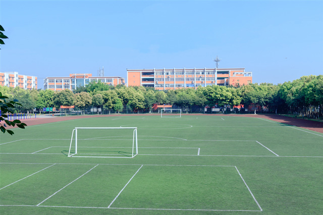 高考“粽”如山，作為初中生的我們粽享端午