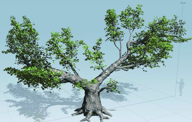 四川新華2019秋A階段結(jié)課答辯圓滿結(jié)束