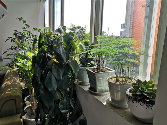 【優(yōu)秀教師專訪】做學(xué)生成長成才的引路人