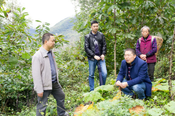 新華教師奮進擔當，用技能脫貧托舉希望