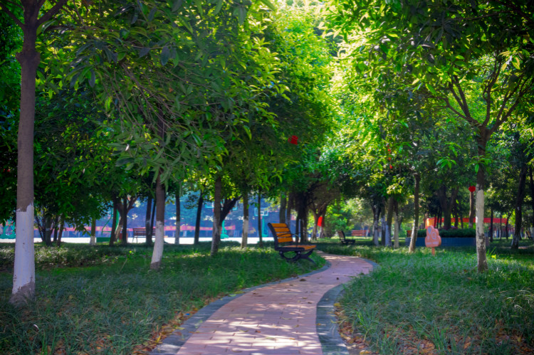 擇校心不慌 明星來探路！這份攻略你一定要看一下！