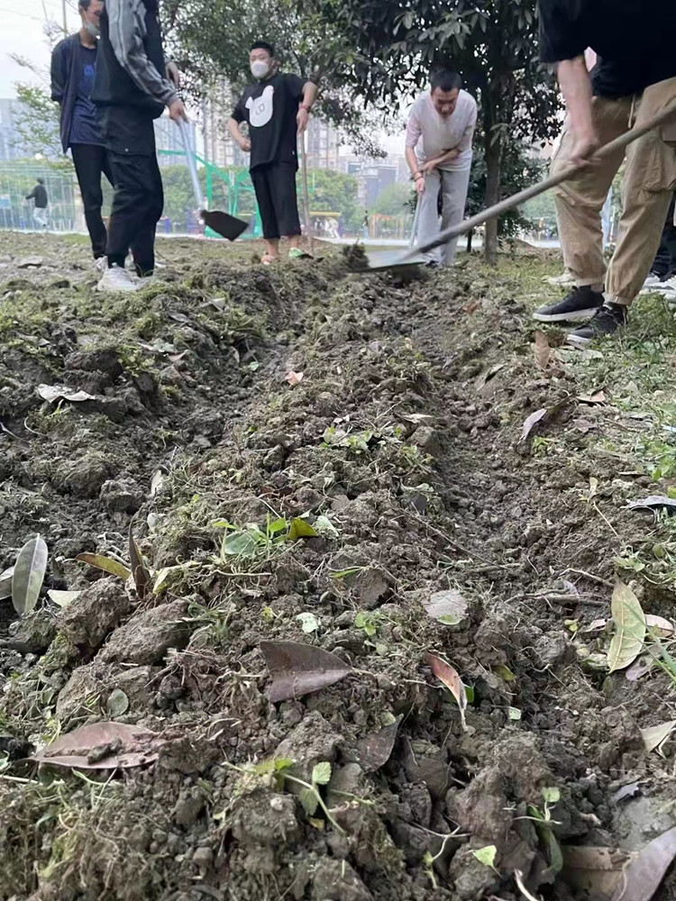 新季節(jié)新面貌|新華春季特色課程溫暖來(lái)襲