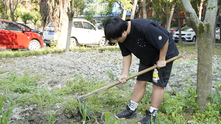新風(fēng)采新青年|寓教于“種”，新攀高峰