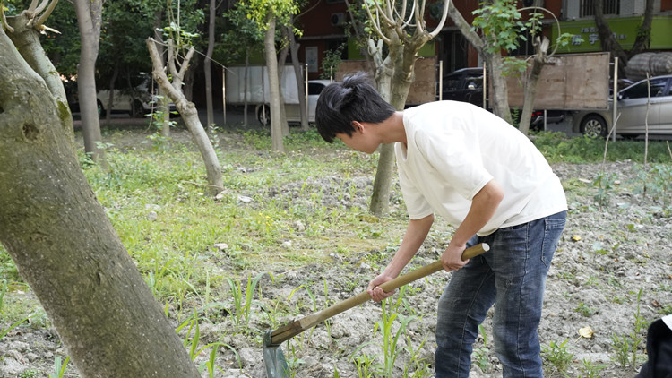 新風(fēng)采新青年|寓教于“種”，新攀高峰