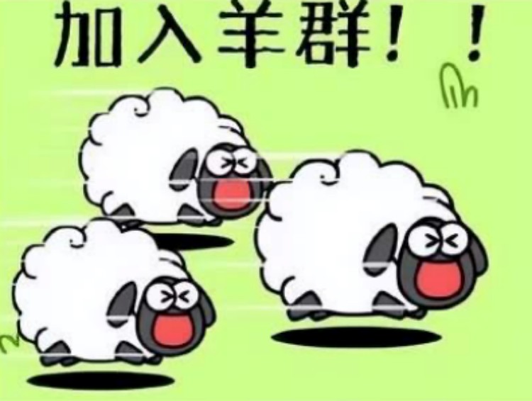 羊了個(gè)羊？成都新華四步帶你無限通關(guān)！