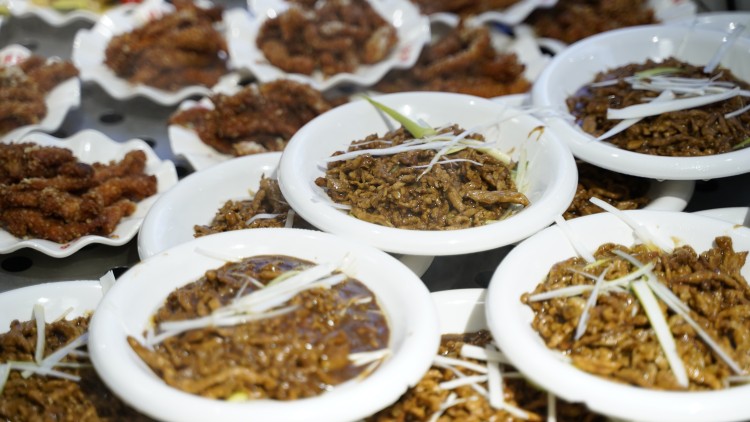 同學(xué)們深夜慎點(diǎn)！“舌尖上的新華”來(lái)啦~