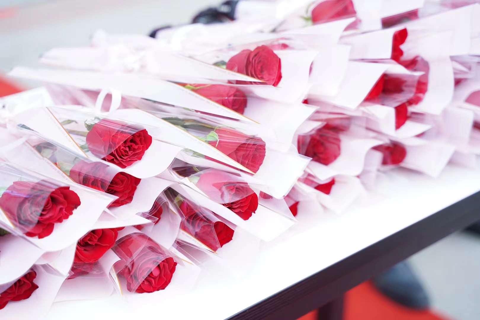 婦女節(jié)！獻(xiàn)給所有成都新華的女老師們